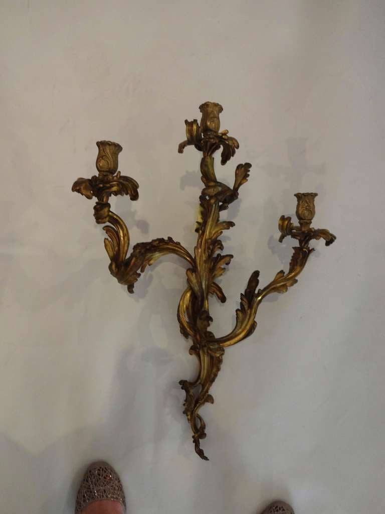 Louis XV Pair of French Bronze Wall Sconces