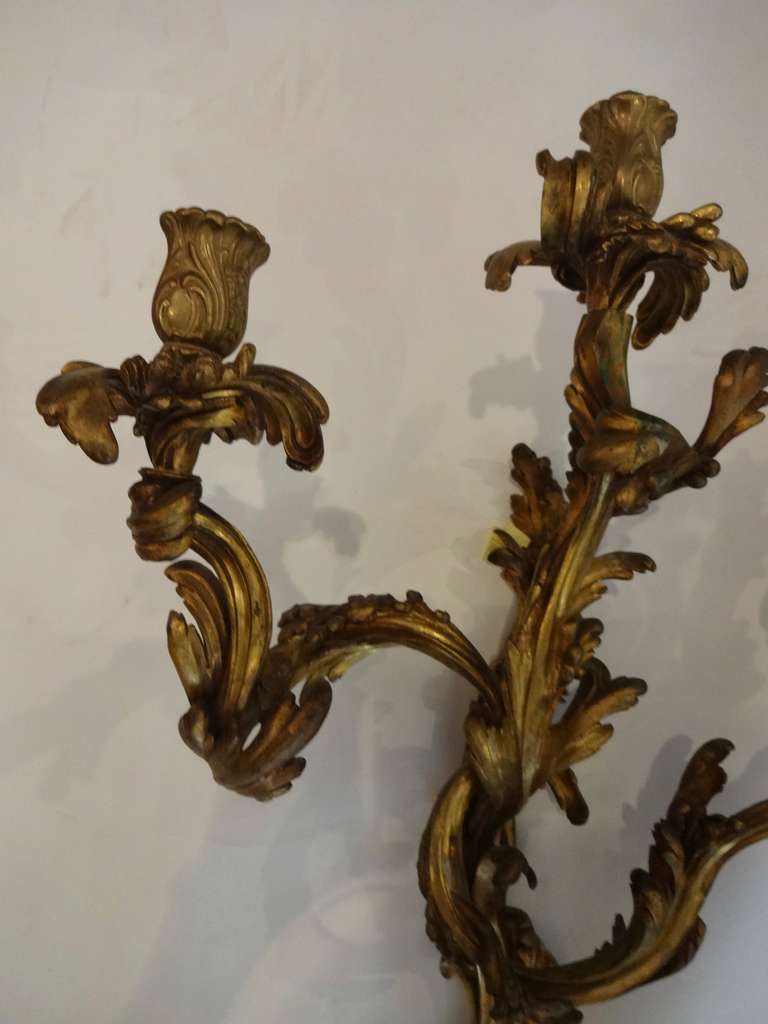 19th Century Pair of French Bronze Wall Sconces