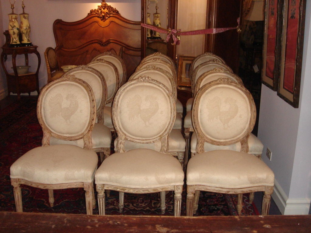 French 12 Louis XVI Dining Chairs  Romanov