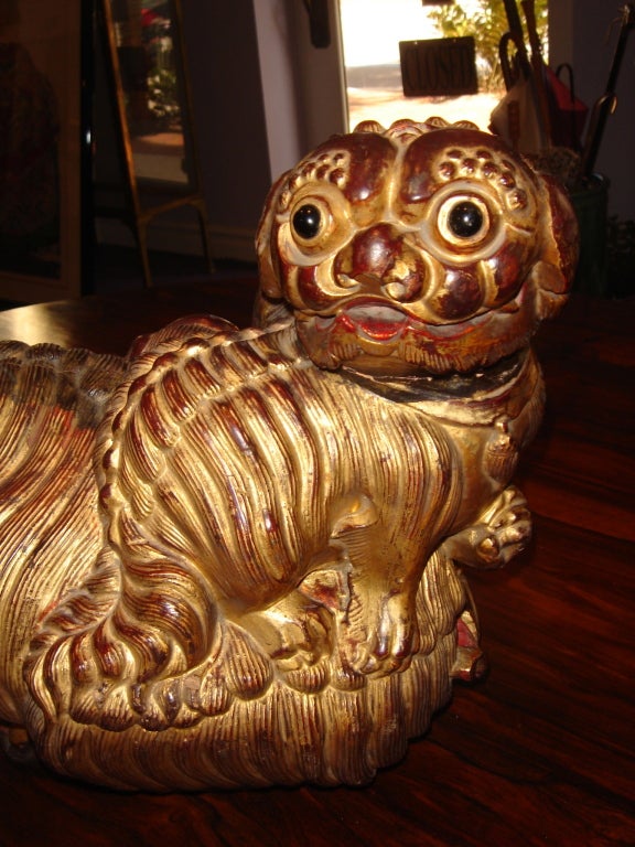 This Chinese charming LARGE wooden hand made and very well carving of a Mother Foo Dog holding a puzzle ball, ribbons to the front and a baby siding on her back is well carved, red lacquered with gold gilt finish she also holds a ribbon in her month