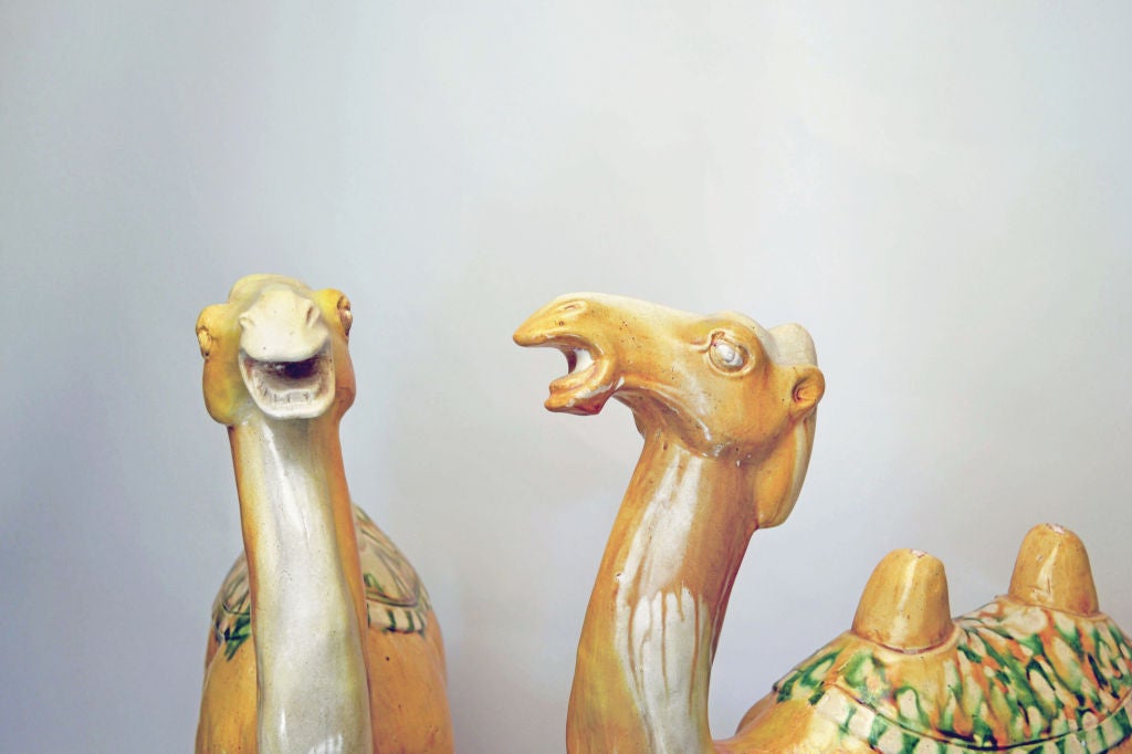 Pair Sancai-Glazed Camels