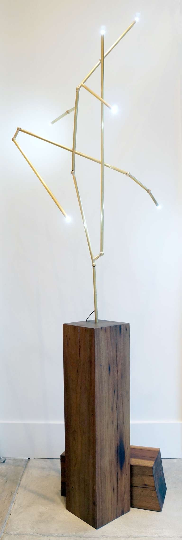 A limited edition lit sculpture by Mary Brogger.

The materials are Brazilian walnut and brass. The sculpture is made of half inch brass tubing, brass ball joints, changeable and dim-able LED bulbs (dimmer not included) and a low voltage transformer