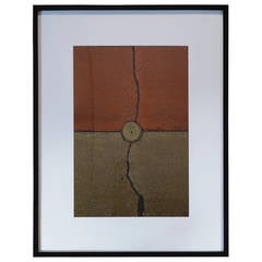 Bicolor by d j 11
