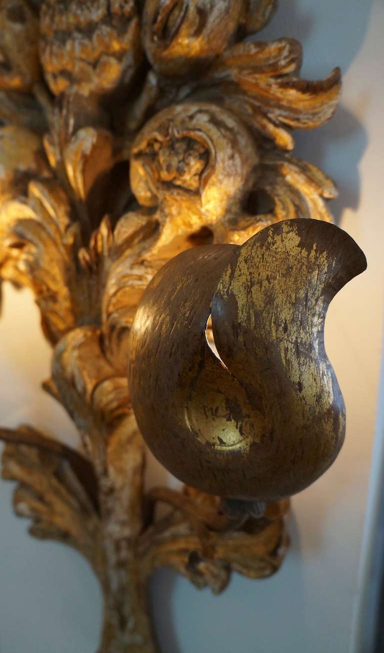 Hand-Carved Giltwood Sconces For Sale 3