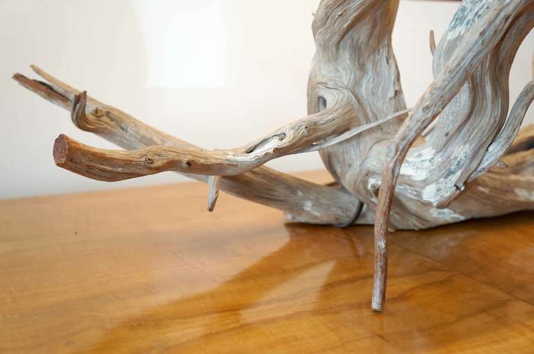 tree branch table lamps
