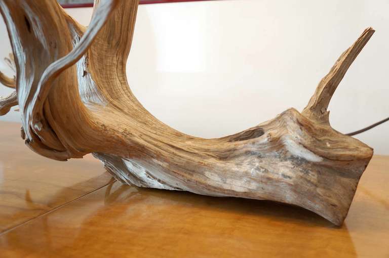 American Tree Branch Table Lamp