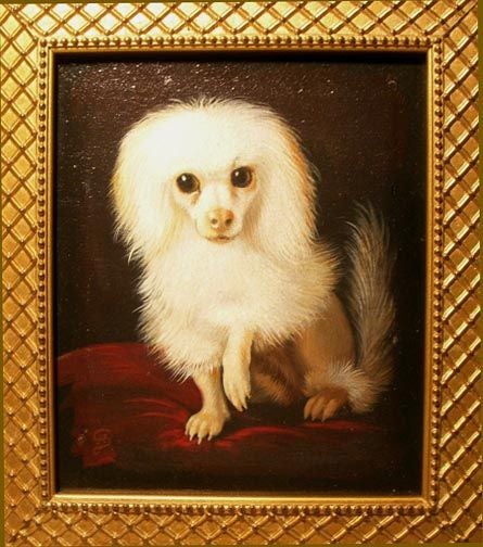 Small Oil Painting of White Poodle, England, Late 19th C. 1