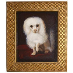Small Oil Painting of White Poodle, England, Late 19th C.