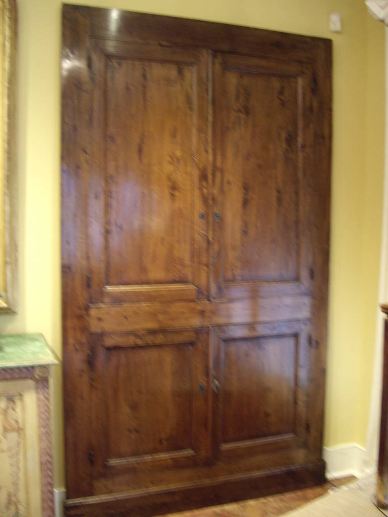 19th Century French Provincial Cabinet Front