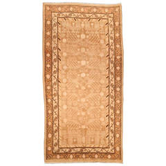 Vintage Khotan ( Samarkand ) Rug 4