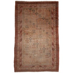 Antique Samarkand, Khotan Rug