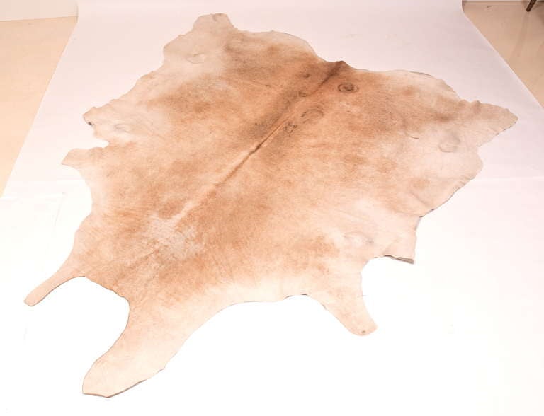 Argentine Cowhides from Argentina