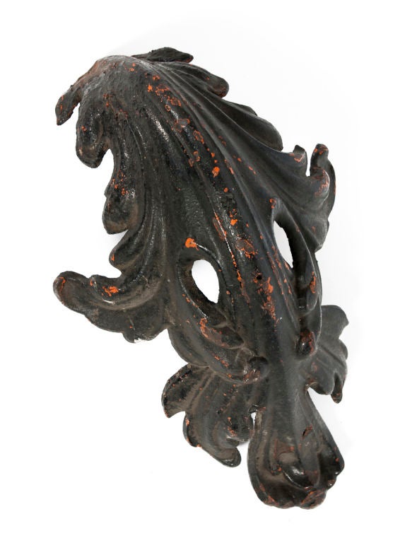 Black Metal Acanthus Leaf