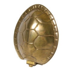 Tortoise Shell Sconce