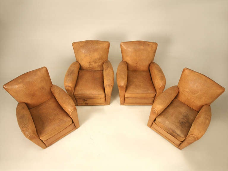 Rarely do we get a matched suite of (4) matching French club chairs. These four are also different in that they appear to be upholstered in buffalo leather. Although we can't say for certain, the grain makes us believe they are. All have 8-way hand
