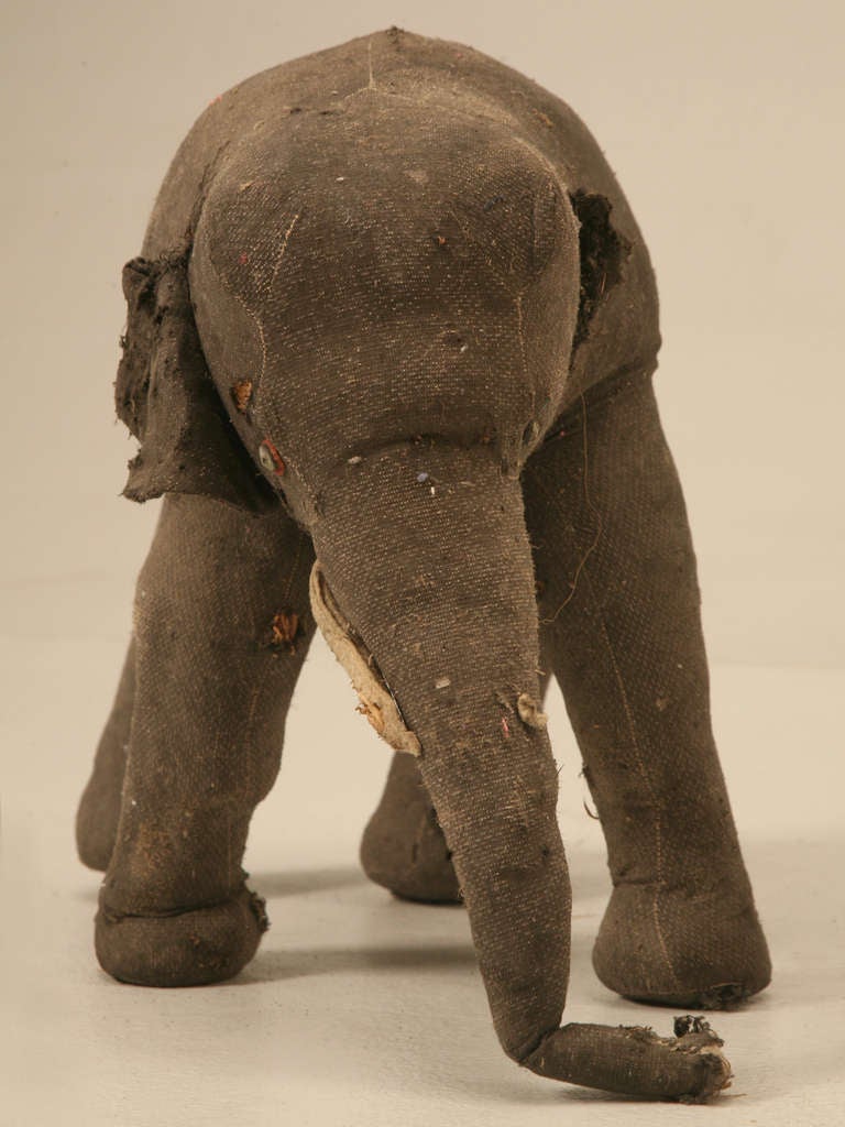 Éléphant français en peluche vers 1910 ayant besoin d'être sauvé. Il lui manque une défense, une oreille et il a subi une intervention chirurgicale au niveau de la fesse. Certainement restaurable, mais utile pour la décoration en l'état. Notre
