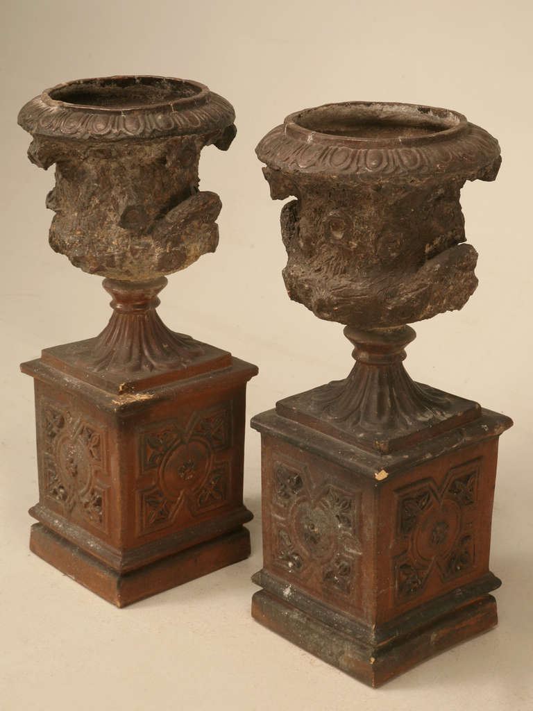 Rustic Circa 1900 Pair of English Salt Glazed Terracotta Urns on Plinths