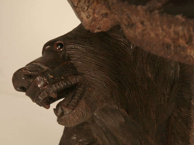 Antique German Black Forest Carved Figural Bear Smoking Stand with Glass Eyes 1