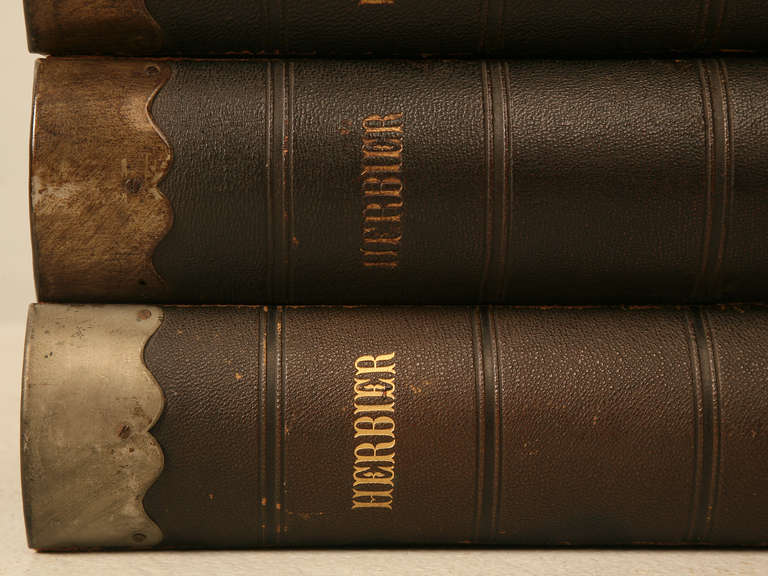 French Circa 1887-1900 Herbier, Pressed Botanical Books by Henri Dard