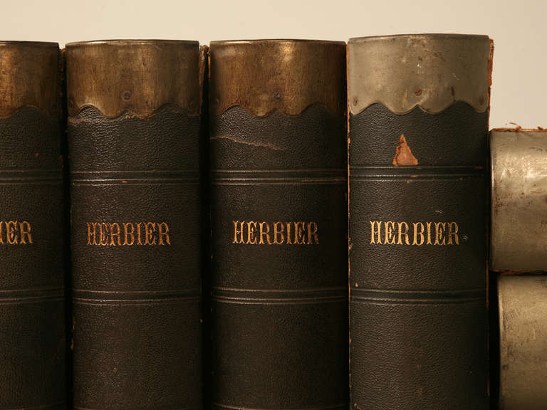 Circa 1887-1900 Herbier, Pressed Botanical Books by Henri Dard In Good Condition In Chicago, IL