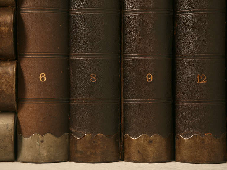 19th Century Circa 1887-1900 Herbier, Pressed Botanical Books by Henri Dard