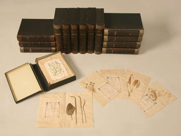Circa 1887-1900 Herbier, Pressed Botanical Books by Henri Dard 4
