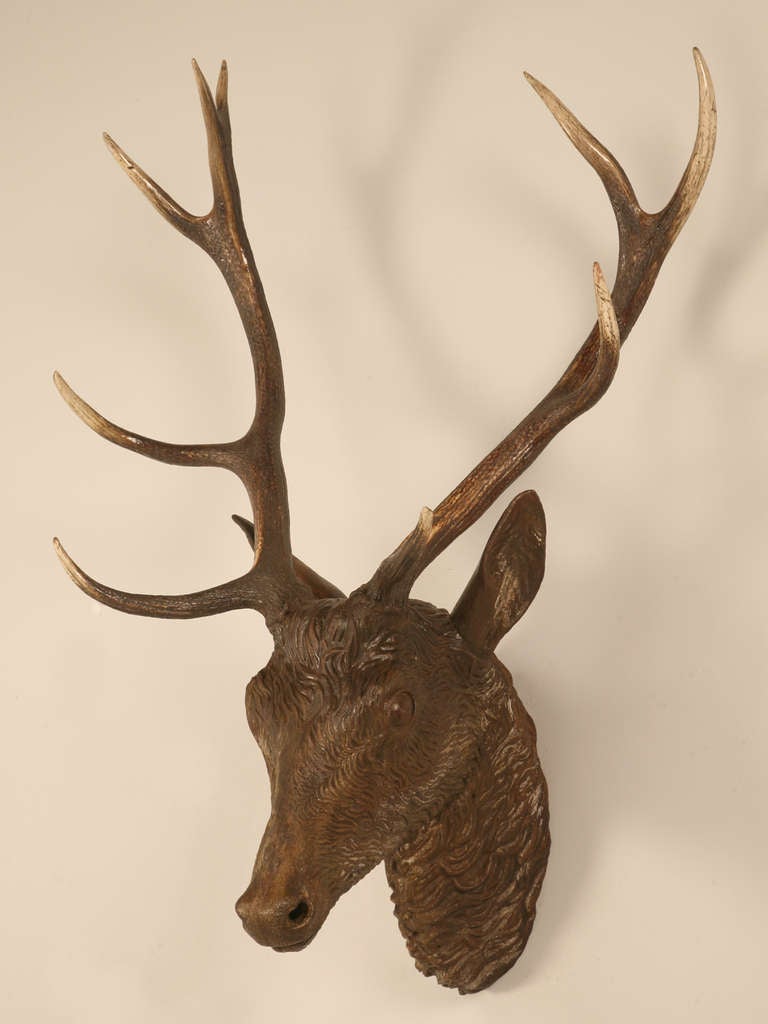 Rare and extremely hard to find, original antique French cast iron trophy of a deer head. Likely cast by the famous and highly acclaimed Val d'Osne Foundry. It is a beautiful and unique casting with very nicely formed antlers and facial features,