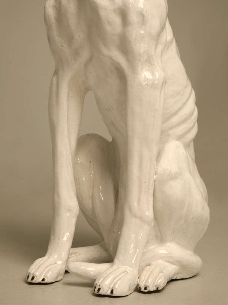 French Faicence Whippet Dog, circa 1960 2