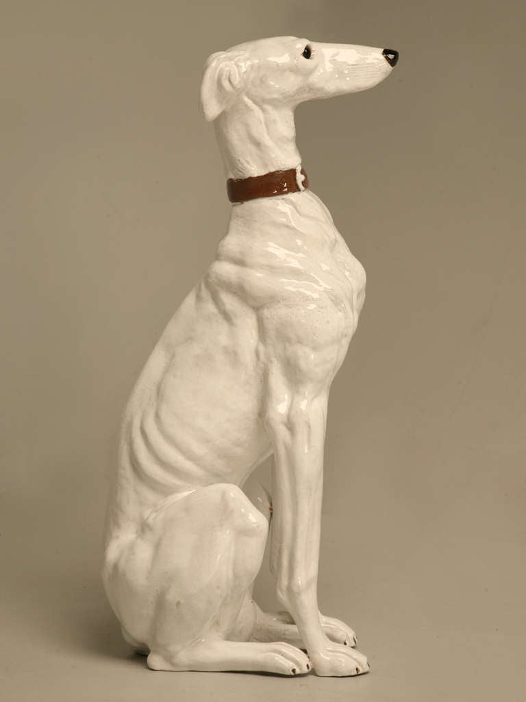 French Faicence Whippet Dog, circa 1960 4