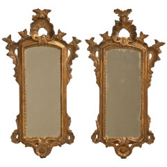 Pair of 18th Century Italian Rococo Mirrors