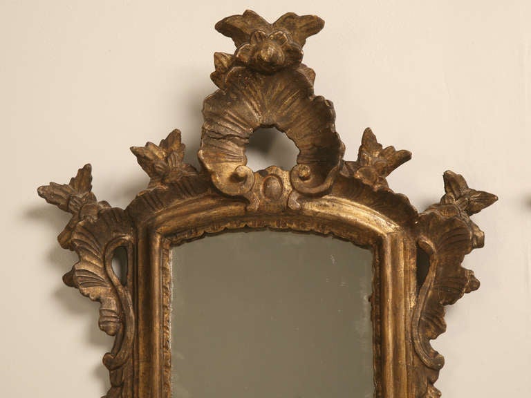 Absolutely enticing pair of original antique Italian gilt mirrors that have the quality of museum artifacts. This stylish pair of mirrors are the perfect size and scale for any room of the home. Elegant curvaceous features make these mirrors