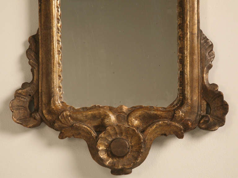 Pair of 18th Century Italian Rococo Mirrors 3
