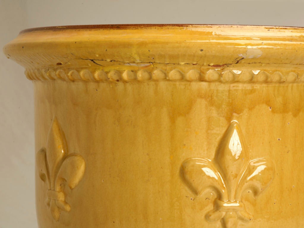 Glazed Very Large French Palatial Scaled Anduze Pot