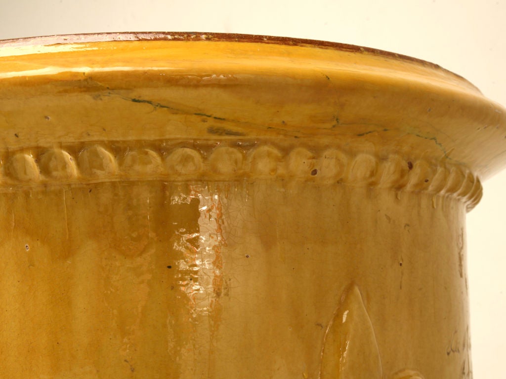 Terracotta Very Large French Palatial Scaled Anduze Pot