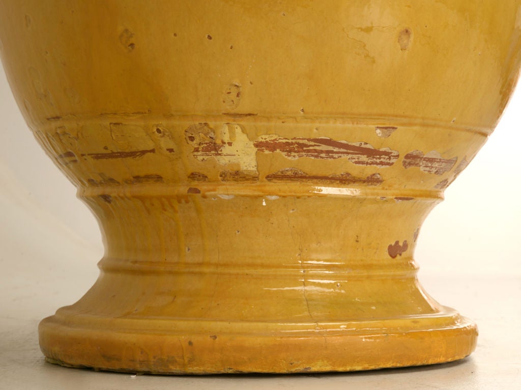 Very Large French Palatial Scaled Anduze Pot 4