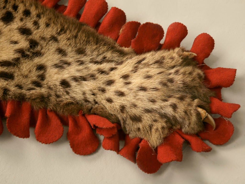 Vintage Authentic Leopard Skin Rug 2