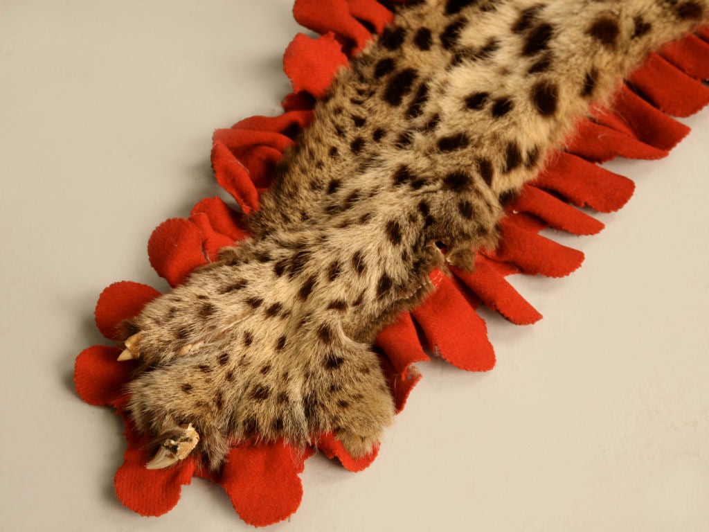 Vintage Authentic Leopard Skin Rug 1