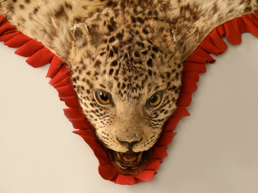 Vintage Authentic Leopard Skin Rug At, Leopard Skin Rug