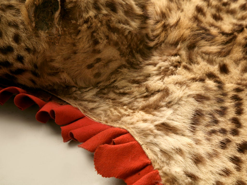 20th Century Vintage Authentic Leopard Skin Rug
