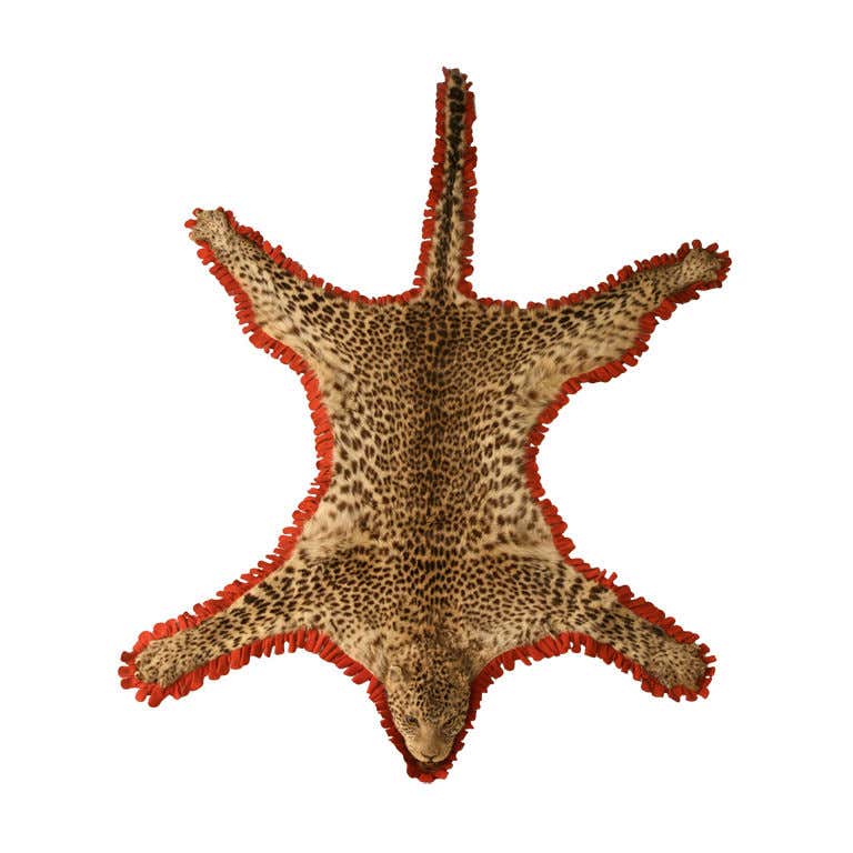 Vintage Authentic Leopard Skin Rug at 1stDibs | real leopard skin rug ...