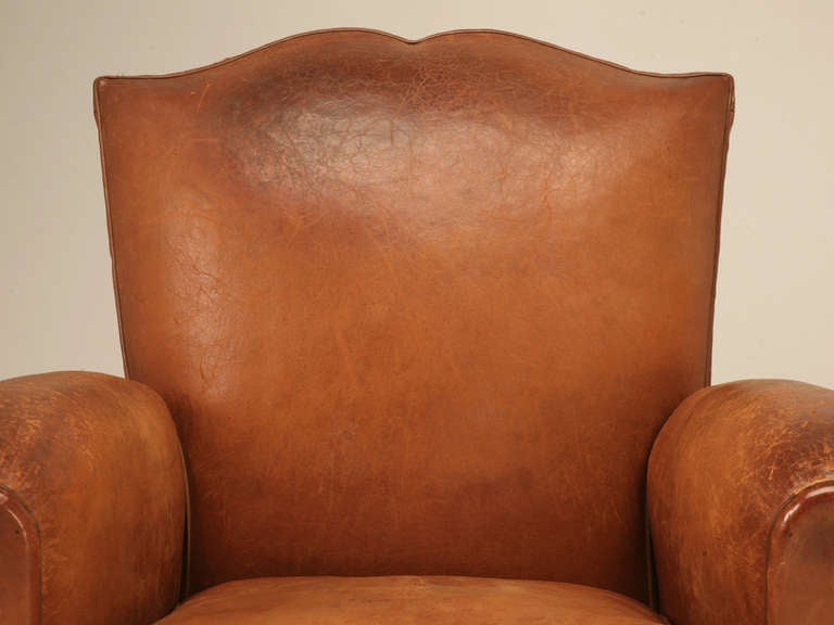 Amazing Pair of Restored Original 1930's French Moustache Back Club Chairs