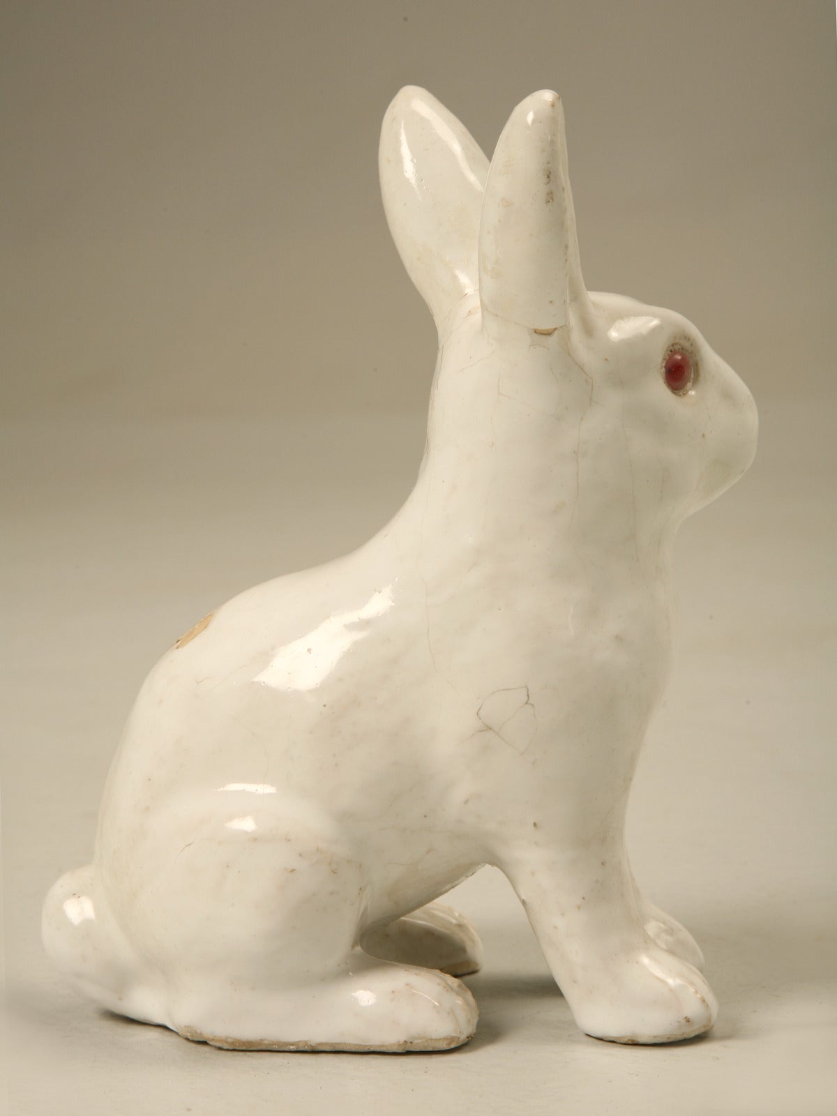 French Rabbit from Normandy, France