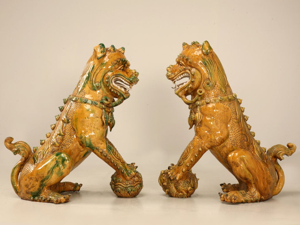 Magnificent Pair of Large Chinese Foo Dogs
