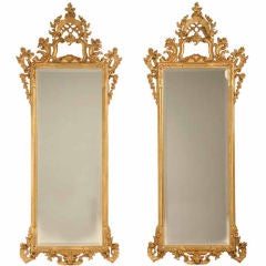Stunning Pair of Tall (89") Gilt Rococo Style Beveled Mirrors
