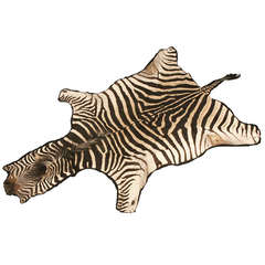 Zebra Hide, Equus Burchelli