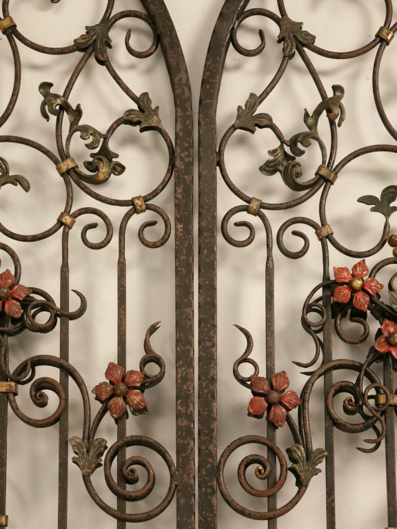 Magnificent Pair of Continental Iron Garden Gates/Window Covers 2