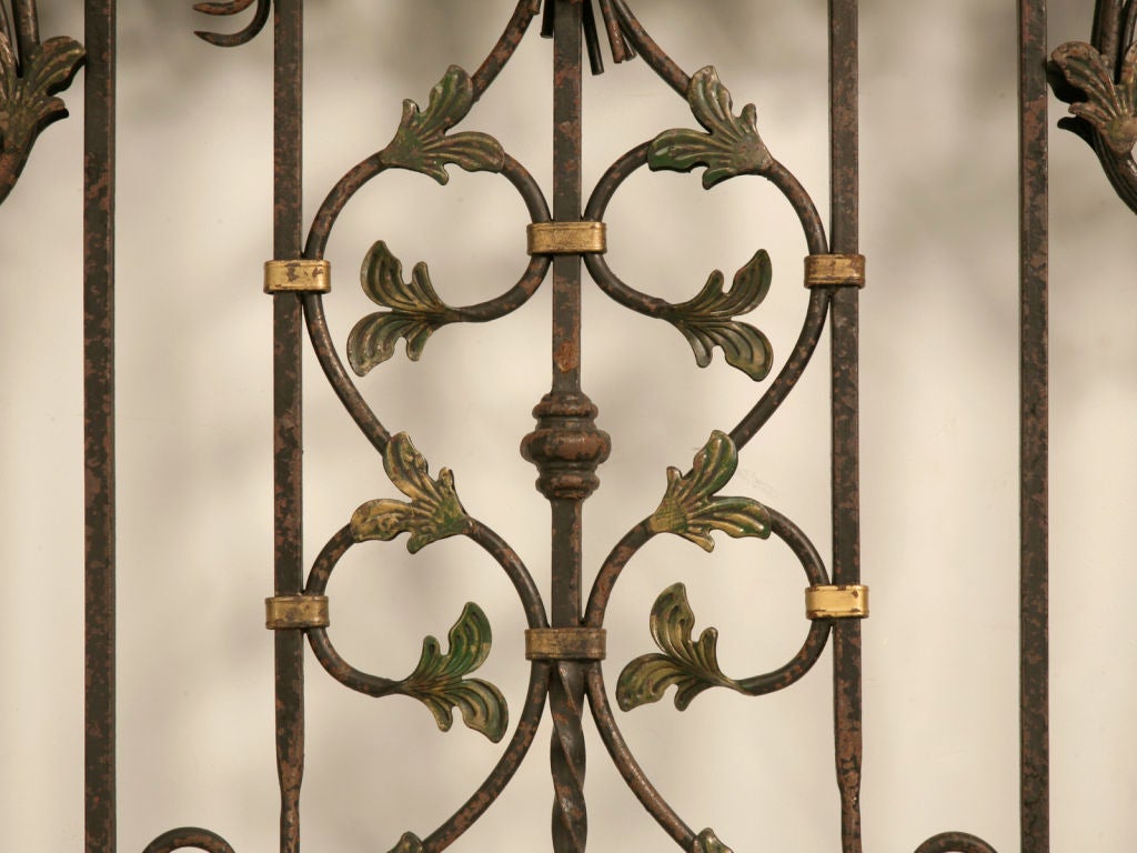 Magnificent Pair of Continental Iron Garden Gates/Window Covers 4