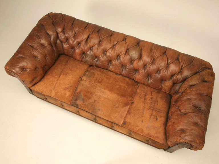 Circa 1860-1900 Antique English Chesterfield tufted sofa. We carefully removed the leather, glued new leather onto the backside for stability, and additional horsehair where required. The leather is original to the sofa, which is virtually unheard