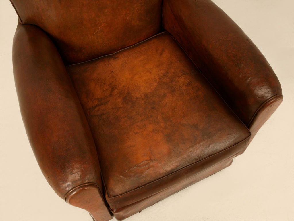 Leather Superb Original Vintage French Club Chair w/Moustache Back