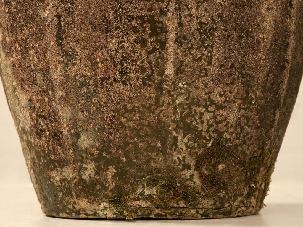 Circa 1720 Original Antique French Walnut Oil Jar 6